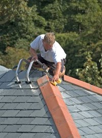 Avatar Roofing , Dampproofing and Joinery Services 243609 Image 5